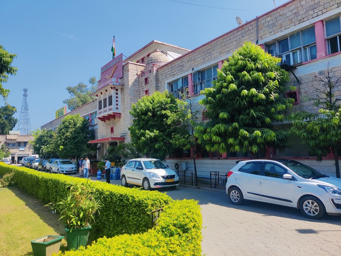 Best forests to visit in North America